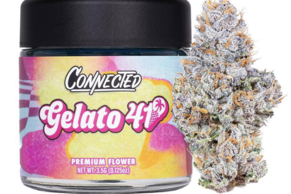 Connected Gelato 41 Premium Flower